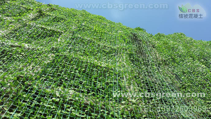 1602229743756046.jpg 1.jpg