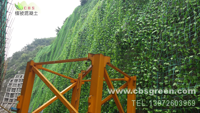 1602229760133094.jpg 5.jpg