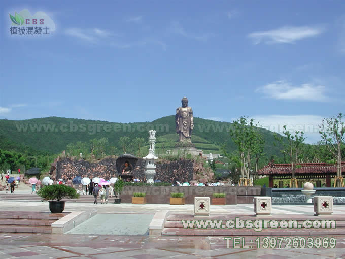 1602229862428146.jpg 1.jpg