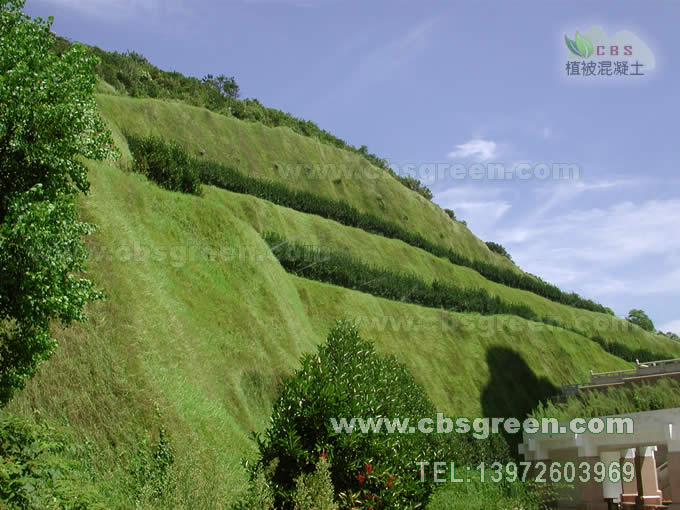 1602229866184267.jpg 2.jpg