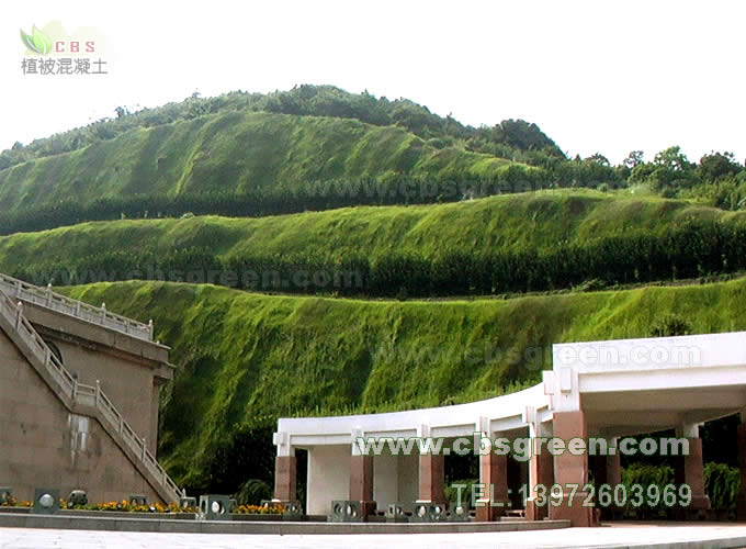 1602229871920333.jpg 3.jpg