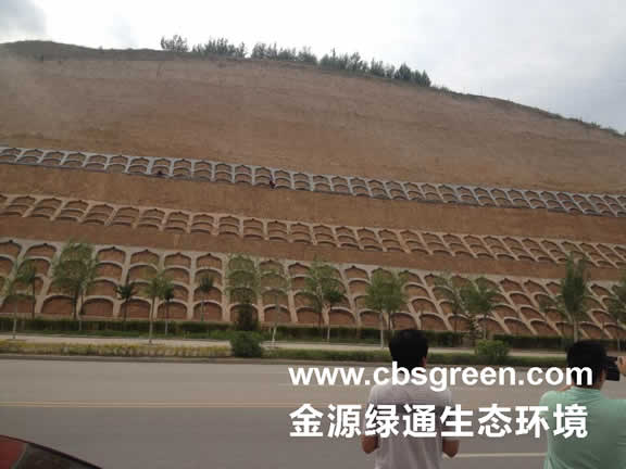 1602230321166342.jpg 2.jpg