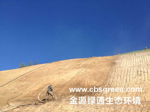 1602230345186631.jpg 4.jpg