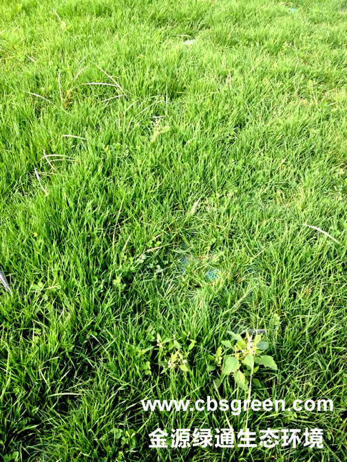 1602230381441129.jpg 7.jpg